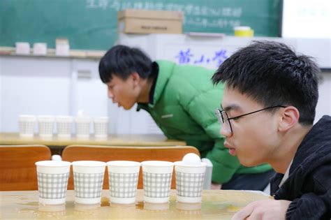 乒乓通过纸杯滑道