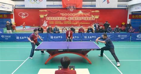 大同乒乓球厂长简历
