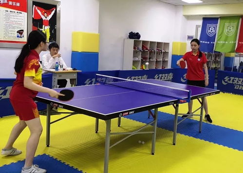 高中体育乒乓球考什么