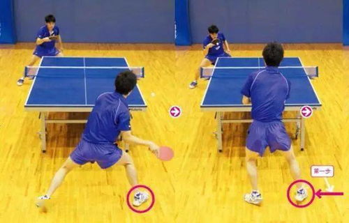 学习乒乓球的步频