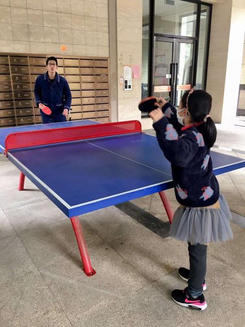 在家里打乒乓球应该怎么弄