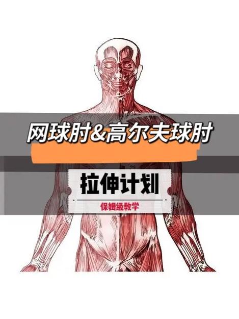 高尔夫球肘发生的原因是什么