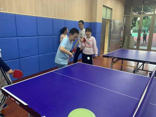 乒乓球上下旋球怎么区分
