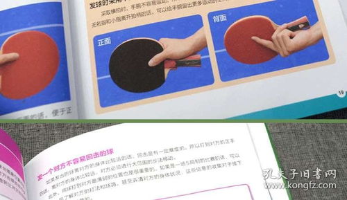入门乒乓球教案设计