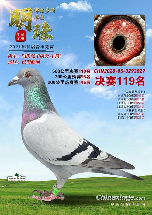 盐城乒乓球孙涛