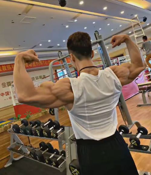 2019年古典健美冠军