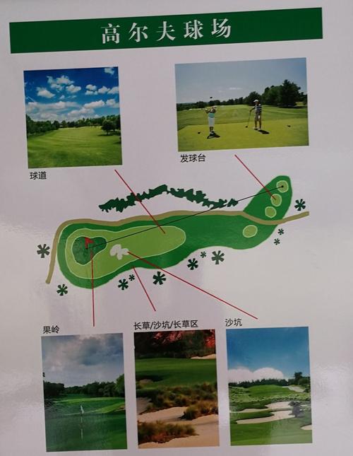 高尔夫球小鸟什么意思