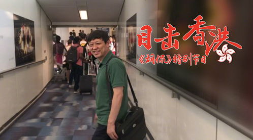 乒乓球运动员刘杨子简历介绍