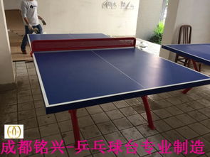 兴义市乒乓球培训机构