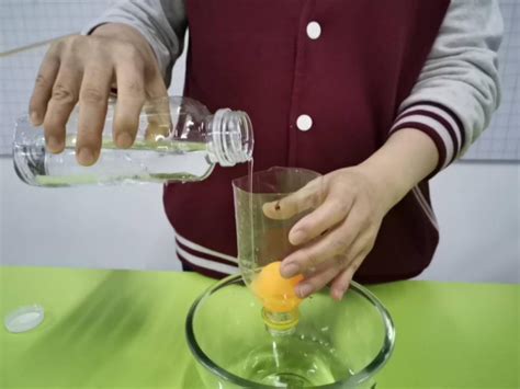 乒乓球杯子科学实验