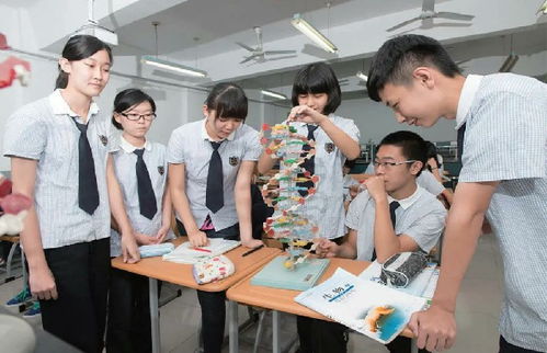 乒乓球特长生招生指南上名校