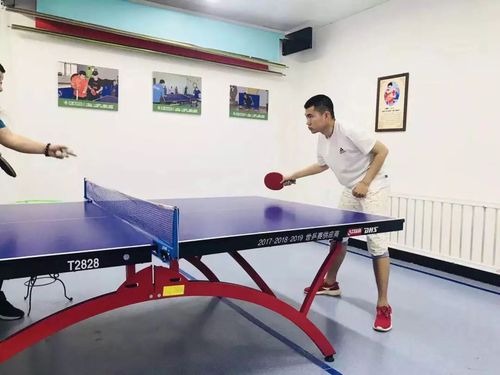汕头乒乓球训练中心