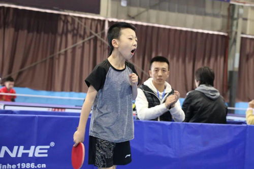 乒乓球叶诗雯