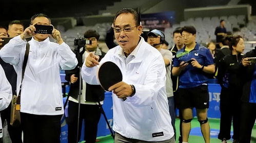 乒乓球联赛球迷打架怎么办