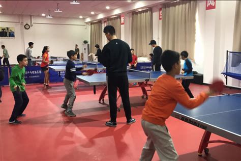 乒乓球初学者应该先练什么