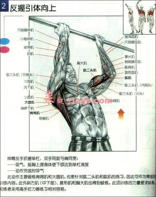 高尔夫球杆刀背凹背