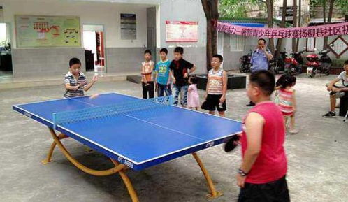 镇雄坪上乒乓球俱乐部