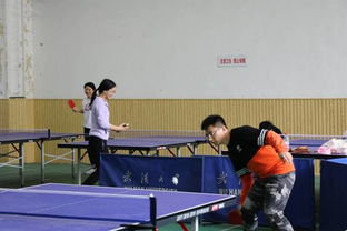 职业乒乓球训练