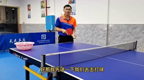 高中乒乓球教学内容