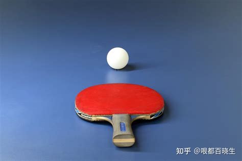 乒乓球抚顺