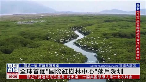 深圳市红树林公园