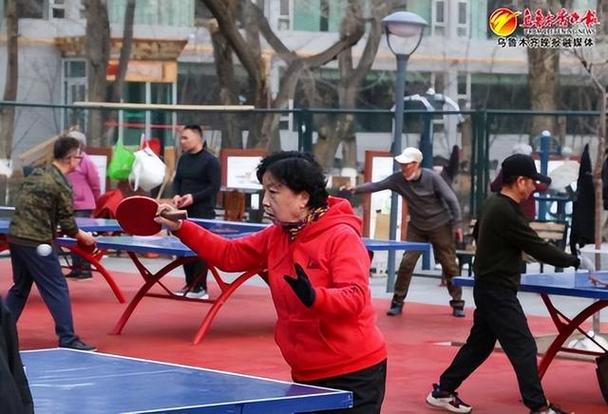 乌鲁木齐乒乓球拍