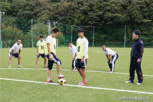 电影打高尔夫片段