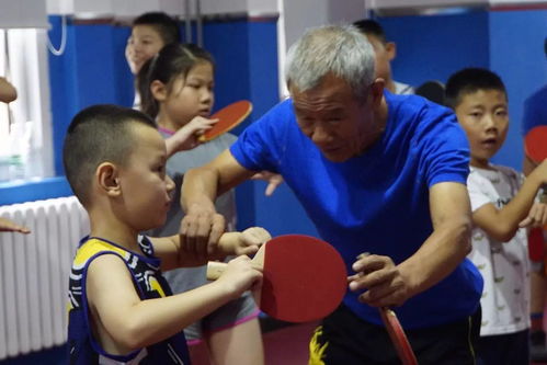 龙江县少儿乒乓球培训班