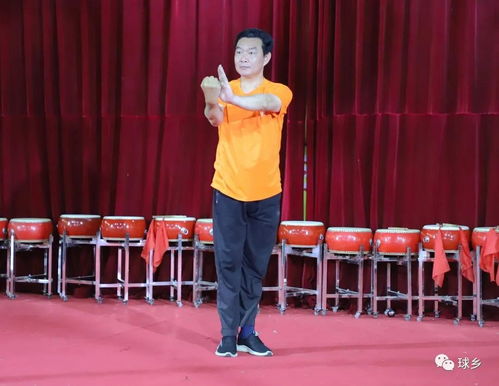 刘家良乒乓球运动员简介