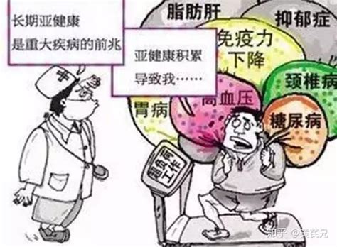 亚健康的普遍性