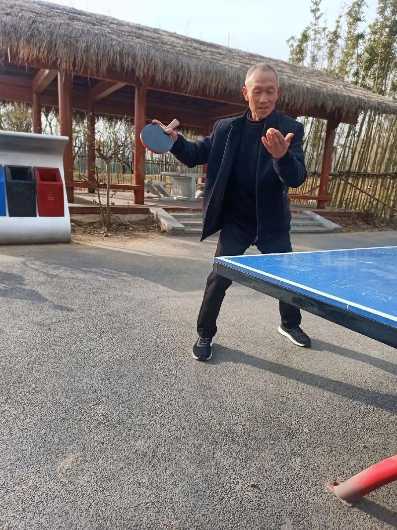 爸爸打乒乓球的作文