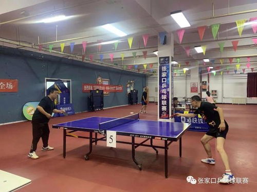 三亚乒乓球俱乐部怎么收费