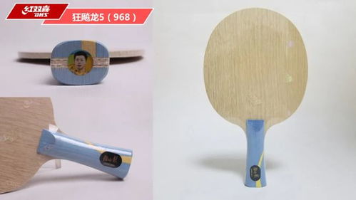 乒乓球套胶正手推荐