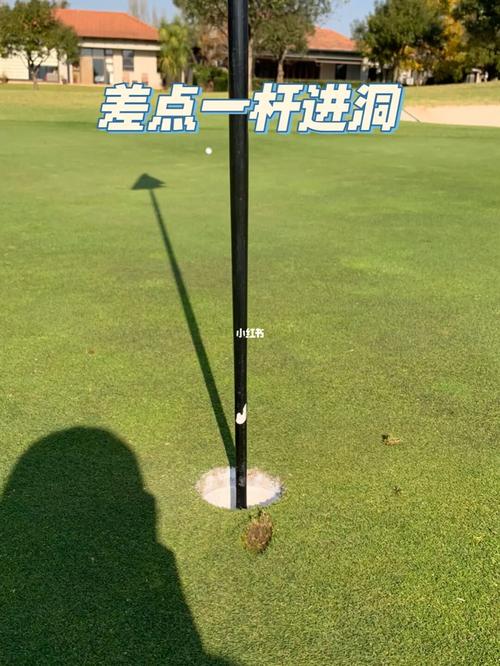高尔夫球一杆进洞术语