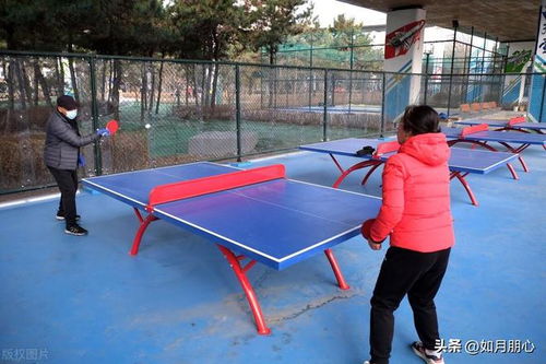 慧东乒乓球俱乐部