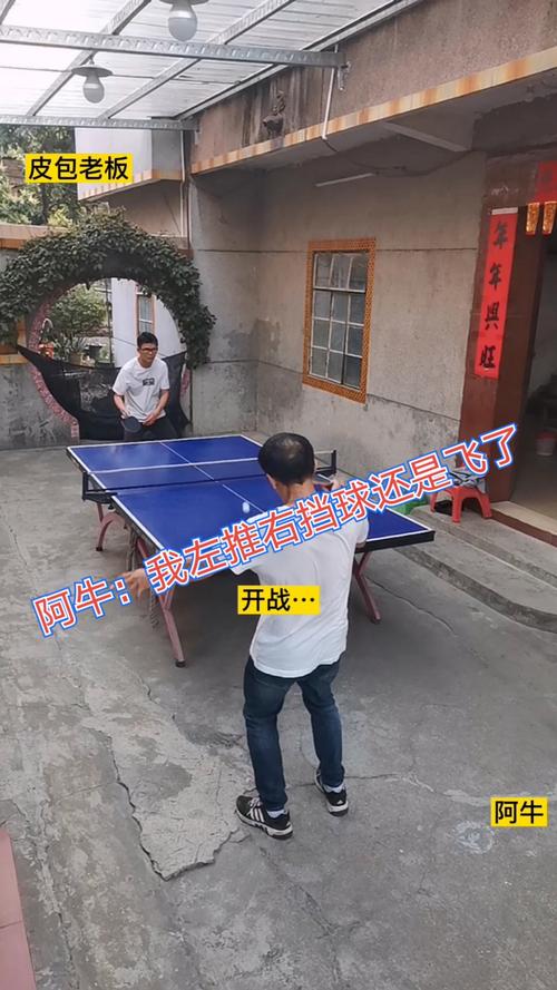 乒乓球推打