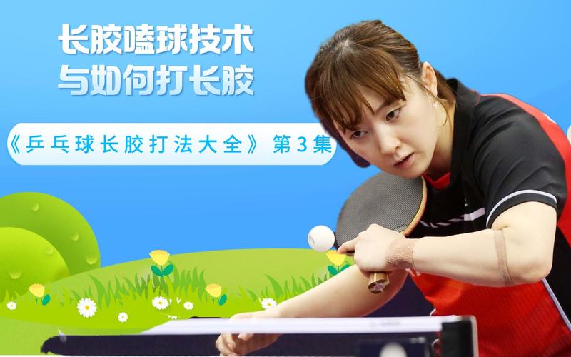 乒乓球的基本知识与打法
