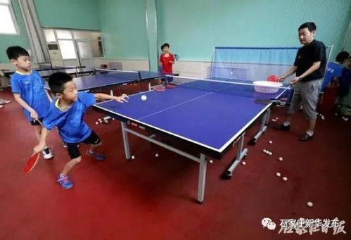 桥头打乒乓球的地方