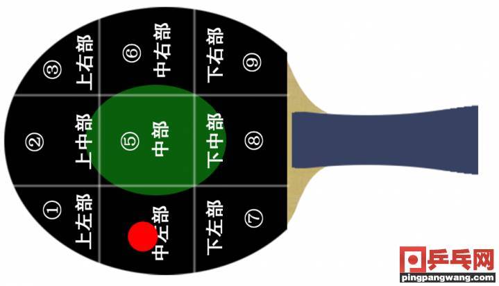 乒乓球反手退档基本知识