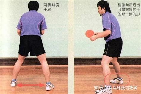 乒乓球小臂的作用