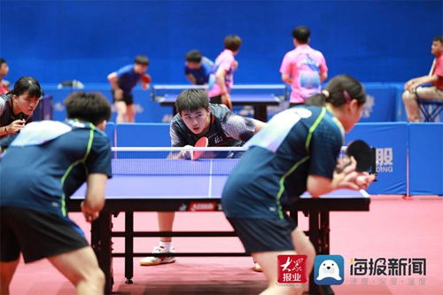 顾楠乒乓球
