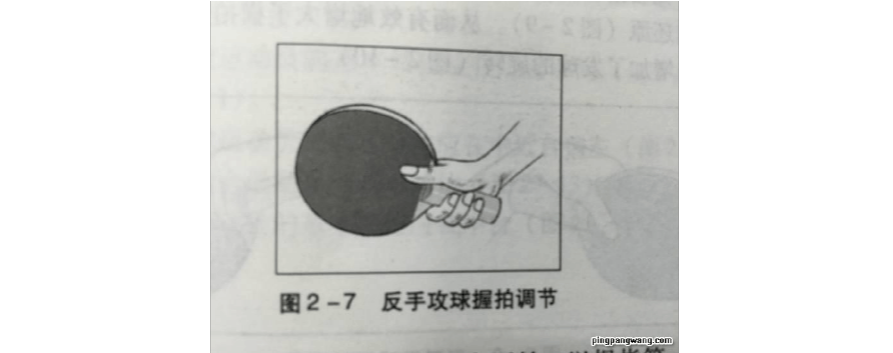 乒乓球入门基本功横拍
