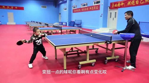 路障球是真石头还是假石头