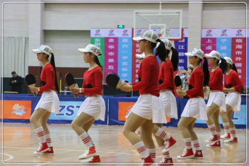 中国乒协乒乓球实验学校