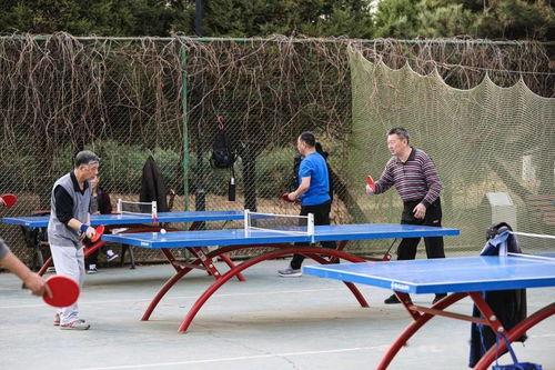 北京公园乒乓球场地