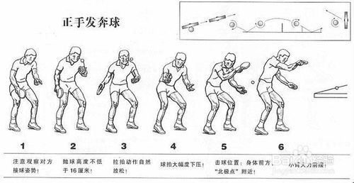 乒乓球基础挥拍动作视频