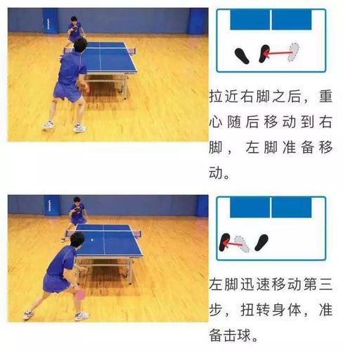 乒乓球各种旋转慢动作