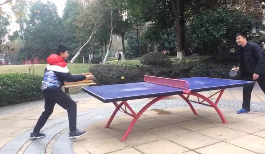 关于跟爸爸打乒乓球的作文