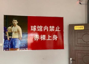 乒乓球反拍的基本动作