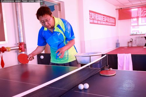 乒乓球打削球适合什么底板